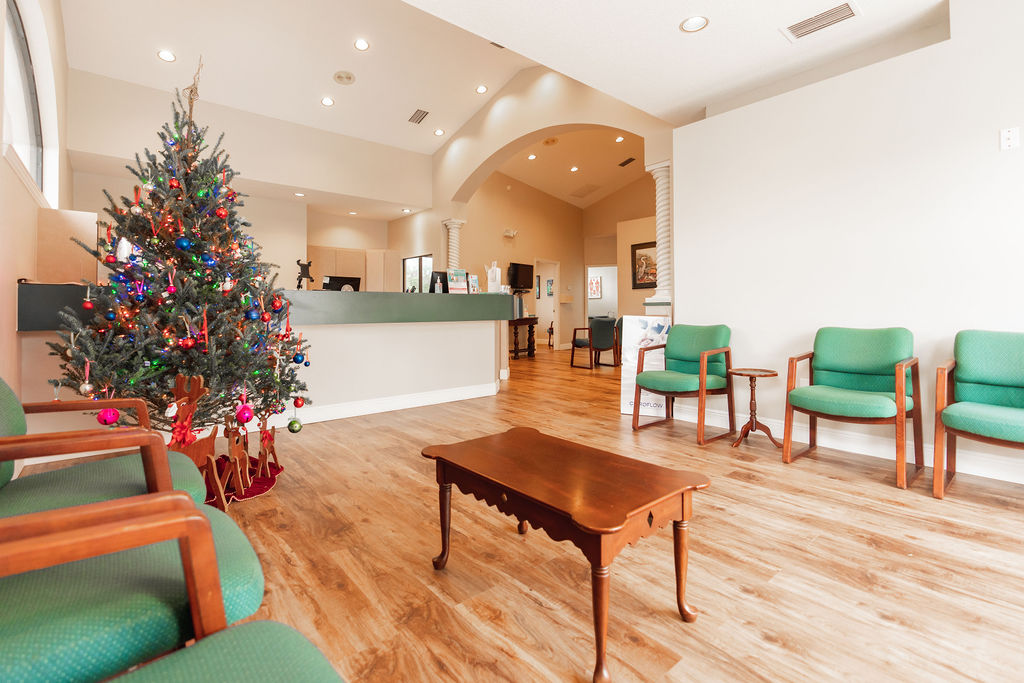 The newly remodeled lobby of Etheredge Chiropractic, a top chiropractor in Leesburg. 