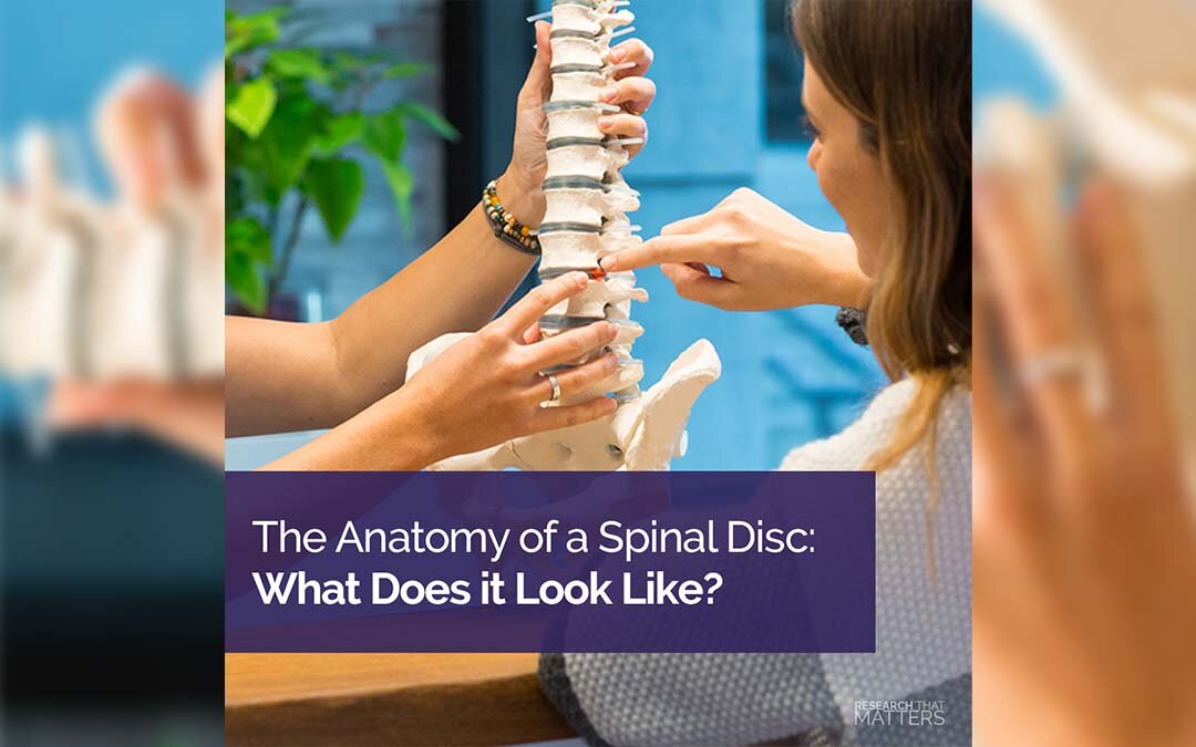 How To Keep Your Spinal Discs Healthy
